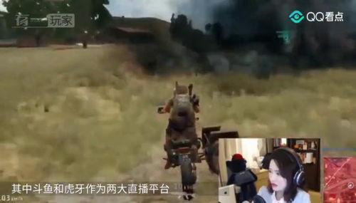 吃瓜群众坐观神仙打架,神仙打架，精彩纷呈