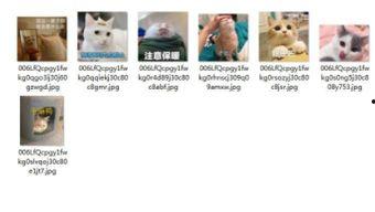 吃瓜群众的图片下载软件,一键获取海量美图