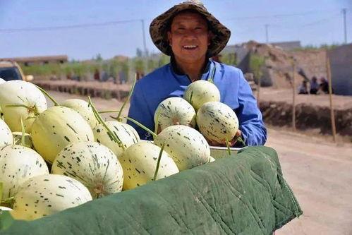 想当吃瓜群众的文案,吃瓜群众视角下的明星幕后故事