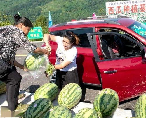 南宁市吃瓜群众,吃瓜群众的热议焦点