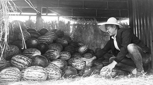 吃瓜群众洪崖洞视频,一场视觉与味蕾的双重盛宴